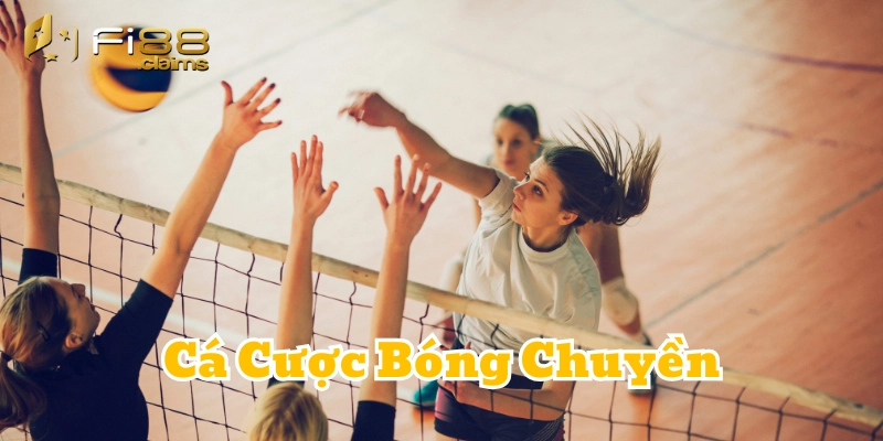 Cá Cược Bóng Chuyền là gì?