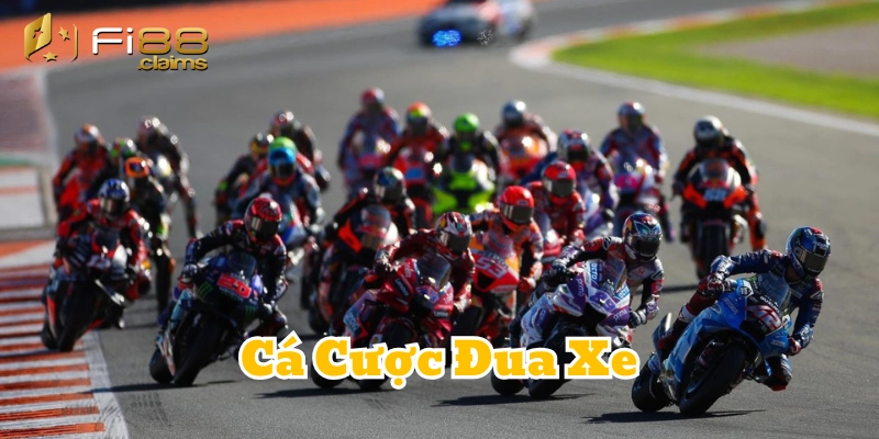 Cá Cược Đua Xe là gì?