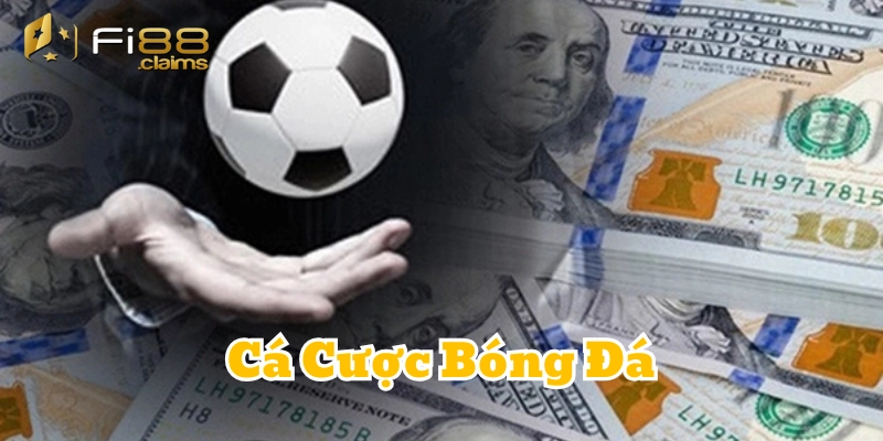 Cách soi kèo ngon ăn trong Cá Cược Bóng Đá