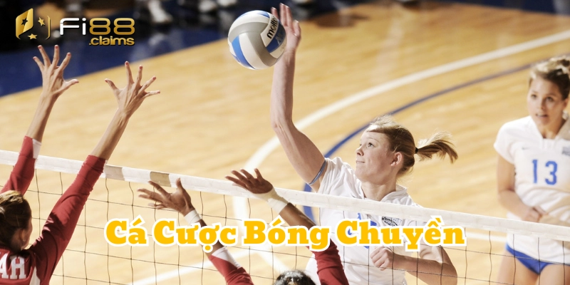 Sai lầm cần tránh trong Cá Cược Bóng Chuyền