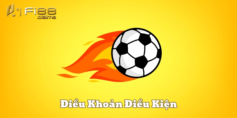 Tầm quan trọng của Điều Khoản Điều Kiện