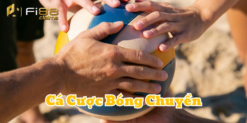 Thông tin quan trọng về Cá Cược Bóng Chuyền
